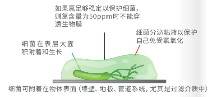 滤料,泳池水处理,低氯,泳池运营